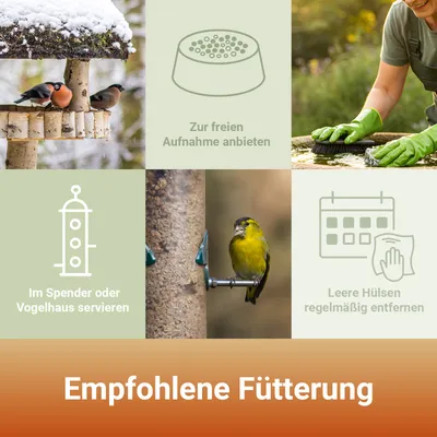 PANTO Streufutter - Wildvogelfutter mit Sonnenblumenkernen & Erdnüssen