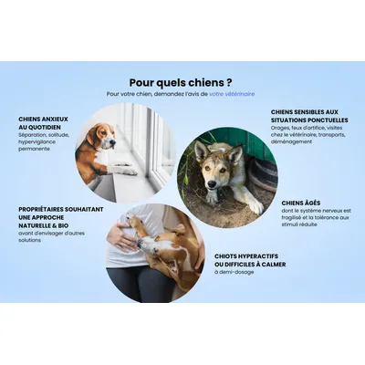 Jagger & Lewis Complément anti-stress & calme bio chien