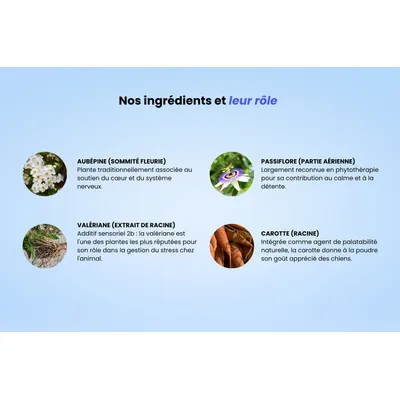 Jagger & Lewis Complément anti-stress & calme bio chien