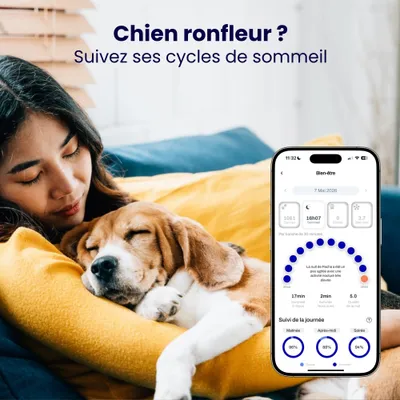 Collier GPS pour chien sans abonnement Collier GPS pour chien sans abonnement