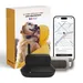 Collier GPS pour chien sans abonnement