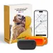 Collier GPS pour chien sans abonnement
