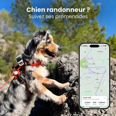 Collier GPS pour chien sans abonnement Collier GPS pour chien sans abonnement
