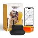 Collier GPS pour chien sans abonnement
