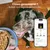 Collier GPS pour chien sans abonnement Collier GPS pour chien sans abonnement