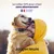 Collier GPS pour chien sans abonnement Collier GPS pour chien sans abonnement