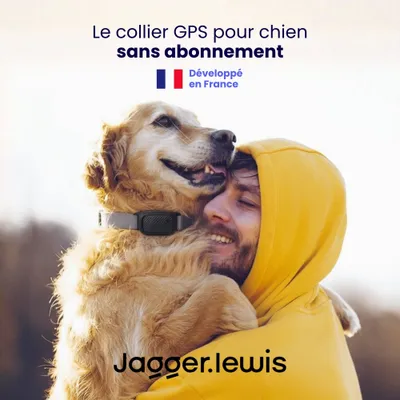 Collier GPS pour chien sans abonnement Collier GPS pour chien sans abonnement