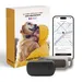 Collier GPS pour chien sans abonnement
