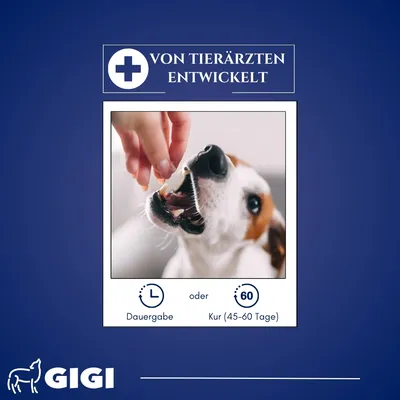KREOPET Pankreatin Enzyme Pankreasenzyme Pankreasinsuffizienz GIGI VET KREOPET Pankreatin Enzyme Pankreasenzyme Pankreasinsuffizienz GIGI VET