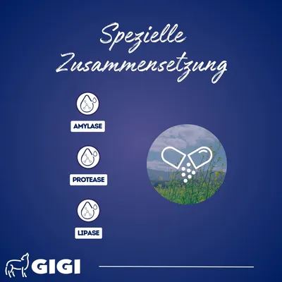 KREOPET Pankreatin Enzyme Pankreasenzyme Pankreasinsuffizienz GIGI VET KREOPET Pankreatin Enzyme Pankreasenzyme Pankreasinsuffizienz GIGI VET
