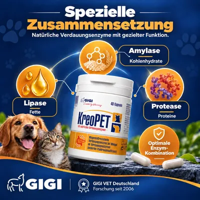 Verdauungsenzyme & Pankreasenzyme für Hund & Katze KREOPET GIGI VET