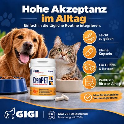 Enzyme Pankreatin Pankreasenzyme KREOPET GIGI VET