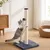 FEANDREA Arbre à Chat, Griffoir pour Chat en Sisal Naturel