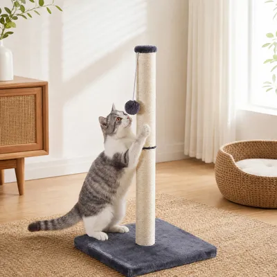 FEANDREA Arbre à Chat, Griffoir pour Chat en Sisal Naturel
