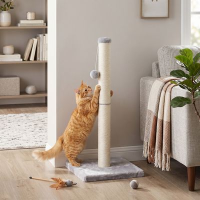 FEANDREA Arbre à Chat, Griffoir pour Chat en Sisal Naturel