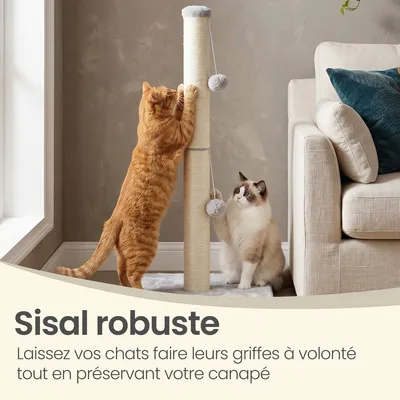 FEANDREA Arbre à Chat, Griffoir pour Chat en Sisal Naturel