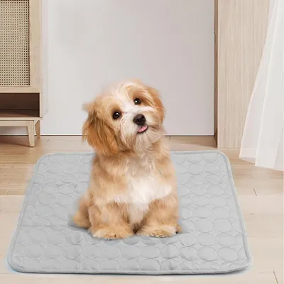 HausPets Kühlmatte für Hunde & Katzen, Sommer Atmungsaktiv L