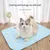 HausPets Kühlmatte für Haustiere Pink M