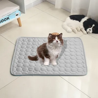 HausPets Kühlmatte für Hunde & Katzen, Sommer Atmungsaktiv XL