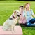 HausPets Kühlmatte Hund Katze XL Rosa, Selbstkühlend