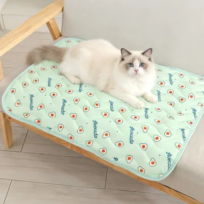 HausPets Kühlmatte für Haustiere Grün XS