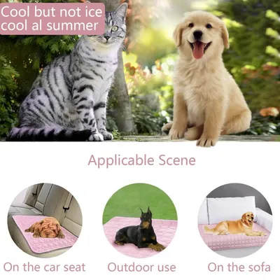 HausPets Kühlmatte Hund Katze S Rosa, Selbstkühlend