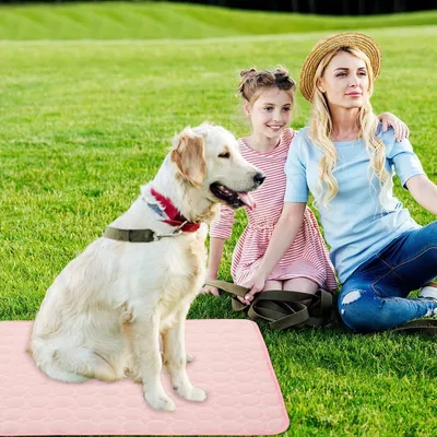 HausPets Kühlmatte Hund Katze S Rosa, Selbstkühlend