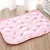 HausPets Kühlmatte für Haustiere Pink L