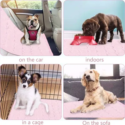 HausPets Tapis Rafraîchissant Chien Chat XS Rose, Auto-refroidissant