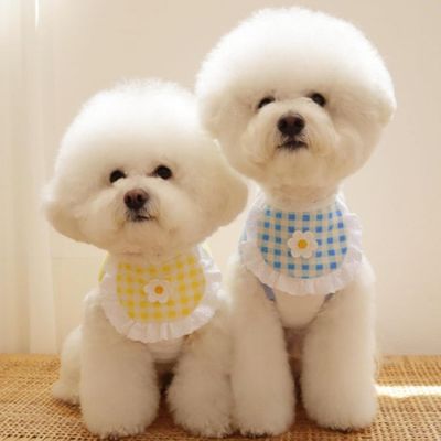 HausPets lot 4 bavoirs coton dentelle rose chien chat