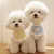 HausPets lot 4 bavoirs coton dentelle rose chien chat