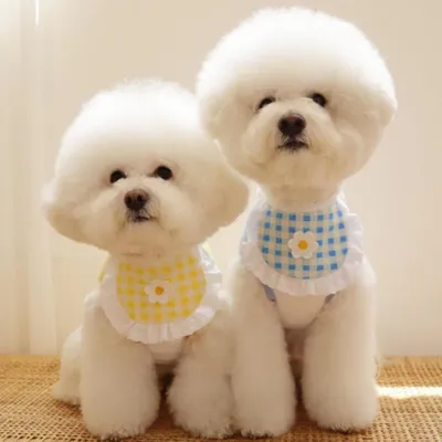 HausPets lot 4 bavoirs coton dentelle rose chien chat