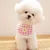 HausPets lot 4 bavoirs coton dentelle rose chien chat
