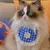 HausPets lot 4 bavoirs coton dentelle rose chien chat