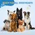 HausPets Ciseaux Effileurs Chien 40 Dents Acier 440C 7" Or Rose HausPets Ciseaux Effileurs Chien 40 Dents Acier 440C 7" Or Rose