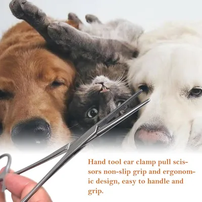 HausPets Pince Hémostatique Acier Inoxydable Épilation Oreilles Chien Chat HausPets Pince Hémostatique Acier Inoxydable Épilation Oreilles Chien Chat