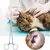 HausPets Pince Hémostatique Acier Inoxydable Épilation Oreilles Chien Chat HausPets Pince Hémostatique Acier Inoxydable Épilation Oreilles Chien Chat