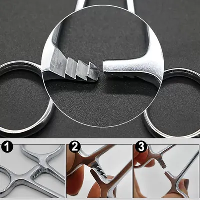 HausPets Pince Hémostatique Acier Inoxydable Épilation Oreilles Chien Chat HausPets Pince Hémostatique Acier Inoxydable Épilation Oreilles Chien Chat