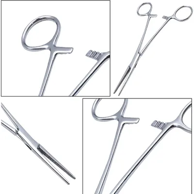 HausPets Pince Hémostatique Acier Inoxydable Épilation Oreilles Chien Chat HausPets Pince Hémostatique Acier Inoxydable Épilation Oreilles Chien Chat