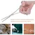 HausPets Pince Hémostatique Acier Inoxydable Épilation Oreilles Chien Chat HausPets Pince Hémostatique Acier Inoxydable Épilation Oreilles Chien Chat