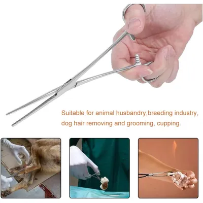 HausPets Pince Hémostatique Acier Inoxydable Épilation Oreilles Chien Chat HausPets Pince Hémostatique Acier Inoxydable Épilation Oreilles Chien Chat