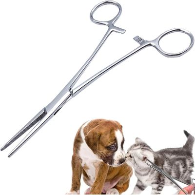 HausPets Pince Hémostatique Acier Inoxydable Épilation Oreilles Chien Chat