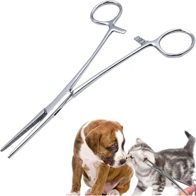 HausPets Pince Hémostatique Acier Inoxydable Épilation Oreilles Chien Chat HausPets Pince Hémostatique Acier Inoxydable Épilation Oreilles Chien Chat