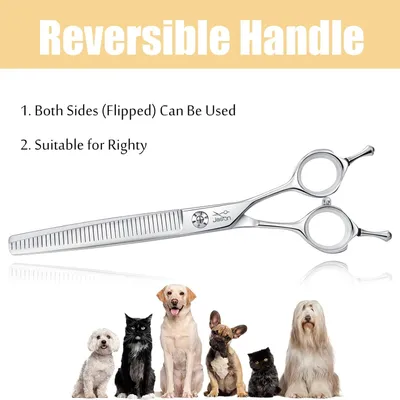 HausPets Kit Ciseaux Toilettage Chien Chat 6 en 1 Acier Japonais 440C HausPets Kit Ciseaux Toilettage Chien Chat 6 en 1 Acier Japonais 440C