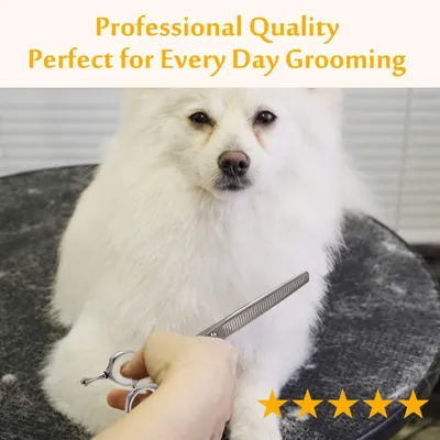 HausPets Kit Ciseaux Toilettage Chien Chat 6 en 1 Acier Japonais 440C HausPets Kit Ciseaux Toilettage Chien Chat 6 en 1 Acier Japonais 440C