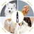 HausPets Tondeuse Mini Silencieuse Sans Fil Pour Chiens Chats Visage Pattes HausPets Tondeuse Mini Silencieuse Sans Fil Pour Chiens Chats Visage Pattes