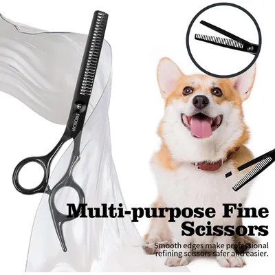 HausPets Ciseaux Toilettage Chien Chat Incurvés Titane Bouts Ronds Sûrs HausPets Ciseaux Toilettage Chien Chat Incurvés Titane Bouts Ronds Sûrs