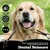 HausPets Ciseaux Toilettage Chien Chat Incurvés Titane Bouts Ronds Sûrs HausPets Ciseaux Toilettage Chien Chat Incurvés Titane Bouts Ronds Sûrs