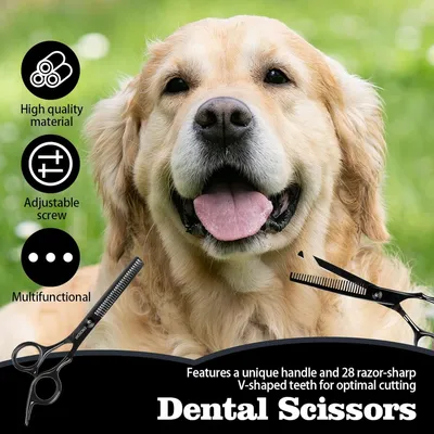 HausPets Ciseaux Toilettage Chien Chat Incurvés Titane Bouts Ronds Sûrs HausPets Ciseaux Toilettage Chien Chat Incurvés Titane Bouts Ronds Sûrs