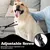 HausPets Ciseaux Toilettage Chien Chat Incurvés Titane Bouts Ronds Sûrs HausPets Ciseaux Toilettage Chien Chat Incurvés Titane Bouts Ronds Sûrs